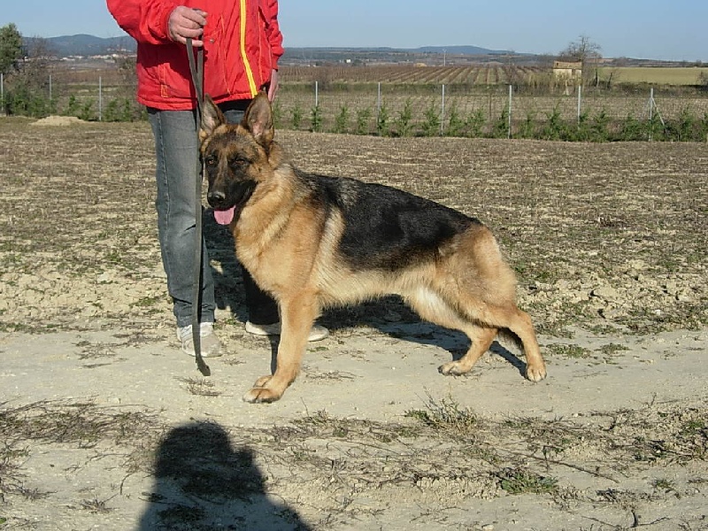 des vingt lieues Fidji